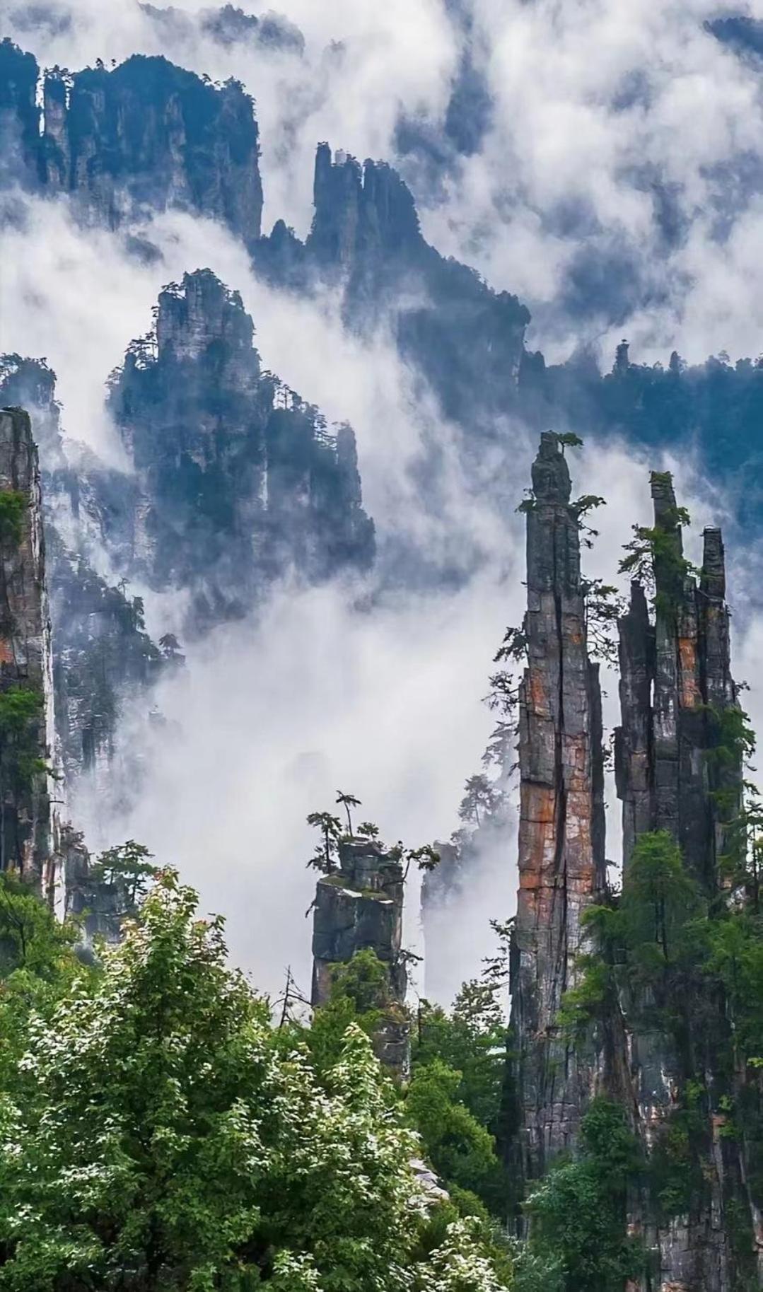 Zhangjiajie Jijiehao Inn المظهر الخارجي الصورة