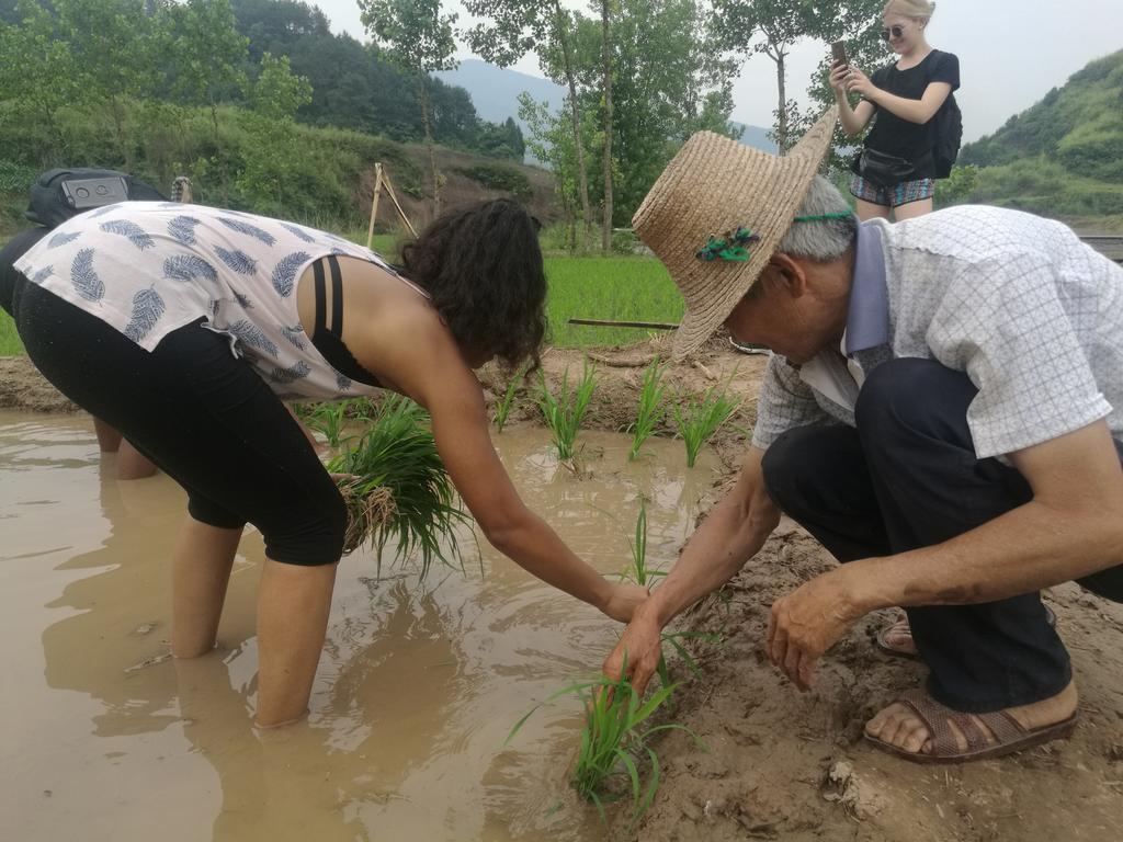Zhangjiajie Jijiehao Inn المظهر الخارجي الصورة
